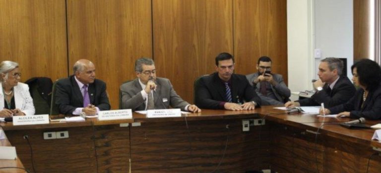 Indicação de Tereza Cristina ao MAPA agrada membros da CTLOG