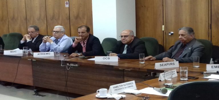 Condições climáticas não favorecem a safra 2018/2019 de trigo