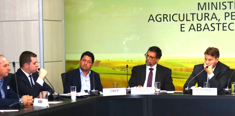 CÂMARA SETORIAL DISCUTE LANÇAMENTO DO FEIJÃO TRANSGÊNICO