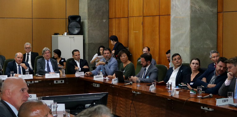 CÂMARA DE INSUMOS DEBATE CONVÊNIO 100 E ATUAÇÃO DO IBAMA