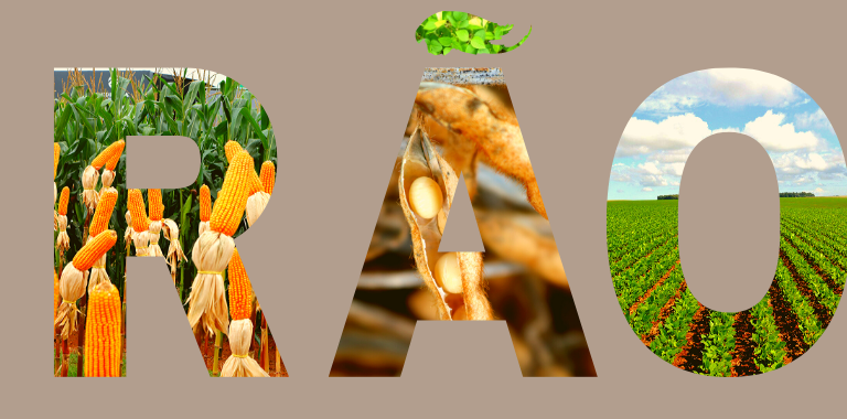 MAIS UM RECORDE HISTÓRICO MARCA A SAFRA DE GRÃOS COM 251 MILHÕES DE TONELADAS