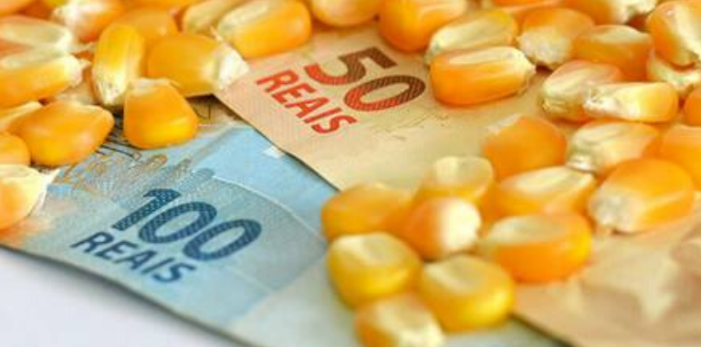 PLANO SAFRA 2020/2021 E LEI DO AGRO SÃO DISCUTIDOS NA CÂMARA DE CRÉDITO