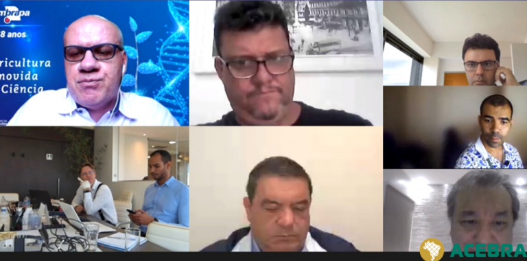 CÂMARA DISCUTE DIRETRIZES DO PLANO NACIONAL DO FEIJÃO E PULSES