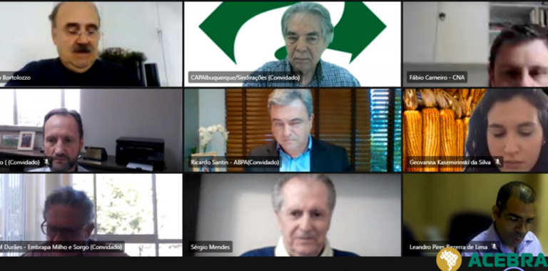 CÂMARA DO MILHO DISCUTE IMPORTAÇÃO E ENFEZAMENTO