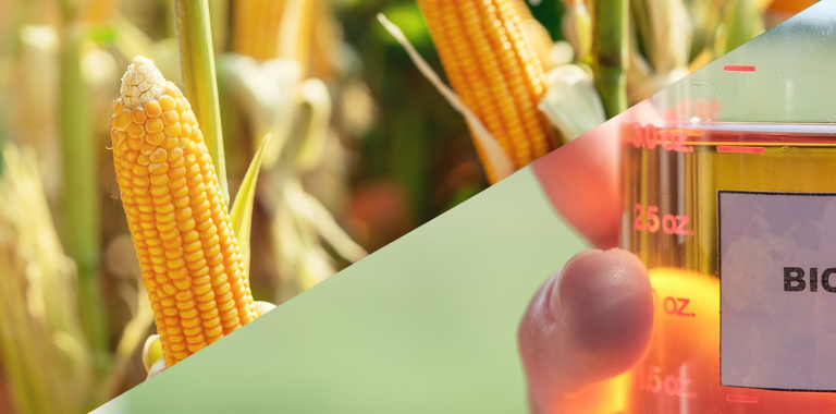 ACEBRA PARTICIPA DE REUNIÕES DAS CÂMARAS DO MILHO E DO BIODIESEL
