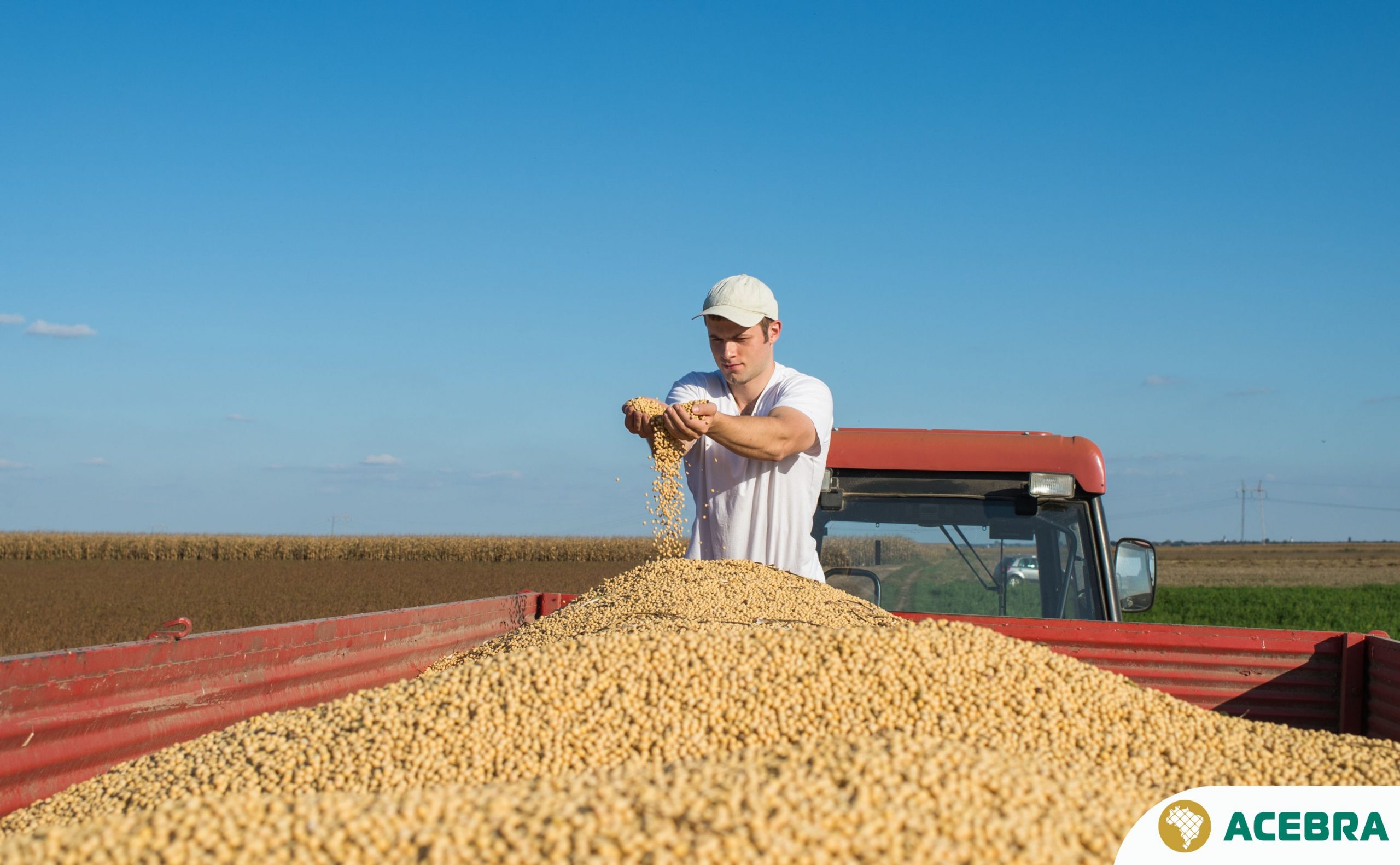 100 ANOS DA SOJA: OLEAGINOSA É O PRINCIPAL PRODUTO DO AGRO BRASILEIRO