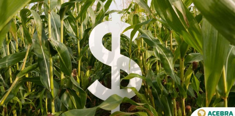 ANÁLISE CNA: IOF E SELIC DESACELERARAM A ECONOMIA E ENCARECECERAM O CRÉDITO