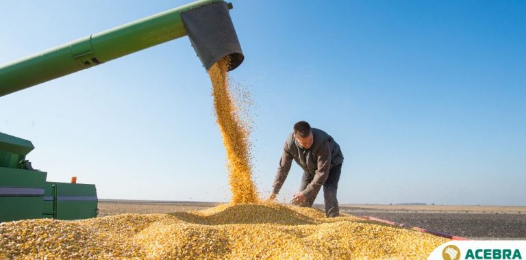 PRODUÇÃO PODE ALCANÇAR 339,6 MILHÕES DE TONELADAS E SUPERAR SAFRA ANTERIOR